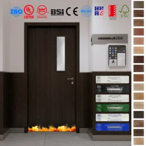 Fire Rated Door designed for modern classrooms.