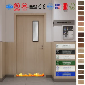 Fire Rated Door crafted for school classroom use.