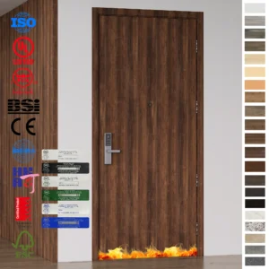Fire Rated Door solutions from China top factory.